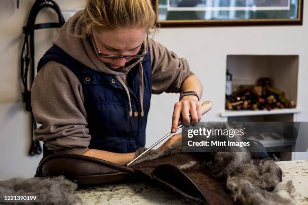 female saddler standing in workshop, stuffing leather saddle with horse hair. - saddle stock-fotos und bilder