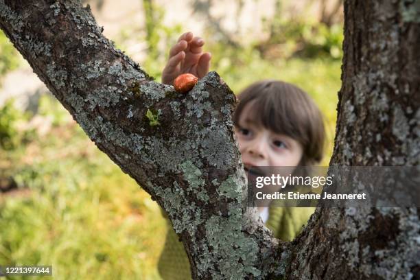 easter eggs picking with happy face, montargis, france. - easter egg hunt stock-fotos und bilder