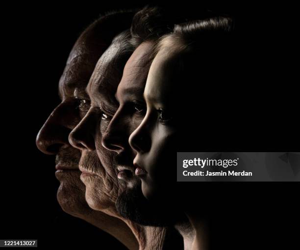 profile view of faces in row - family tree stock-fotos und bilder