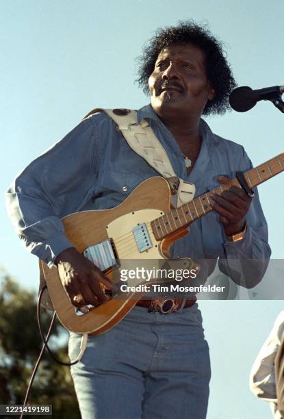 Albert Collins peforms during the San Francisco Blues Festival at Fort Mason on September 15, 1990 in San Francisco, California.