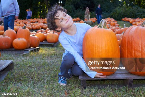 young boy curly brown short hair brown eyes holding pumpkin sitting on wooden stand on the ground