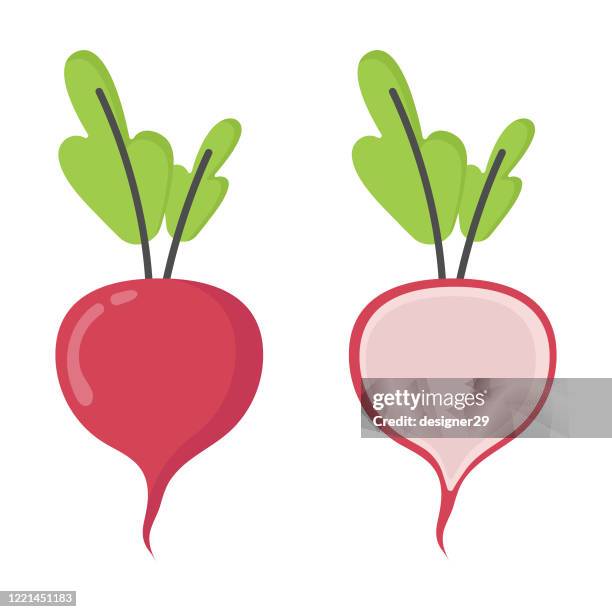 radish icon vector design. - dietary fiber stock illustrations