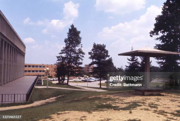 View of Pagoda and Taylor Hall parking lot.