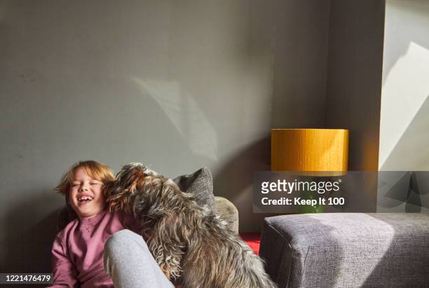 portrait of boy at home with his dog - canine stockfoto's en -beelden