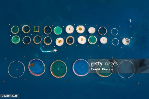 fish farms - greece aerial stock pictures, royalty-free photos & images