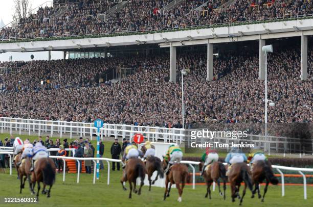 The finish of the first race in front of the packed stands during day four of the Cheltenham National Hunt Racing Festival at Cheltenham Racecourse...