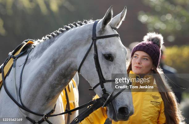 Bristol De Mai is led out to compete in the Gold Cup during day four of the Cheltenham National Hunt Racing Festival at Cheltenham Racecourse on...