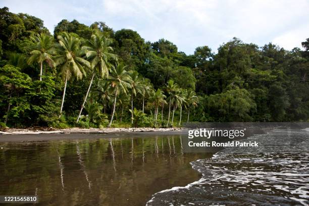 Pristine jungle meets the Pacific Ocean at Morromico beach on October 4, 2012 in Utria National Park, Colombia. The Utria National Park lies in the...