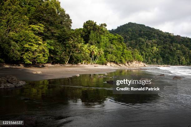 Pristine jungle meets the Pacific Ocean at Morromico beach on October 6, 2012 in Utria National Park, Colombia. The Utria National Park lies in the...