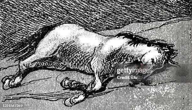 sleeping horse - security sleeping stock illustrations