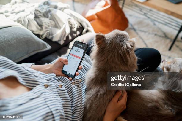 frau überprüft eine finanz-app, während sie mit ihren hunden zu hause entspannt - account dog stock-fotos und bilder