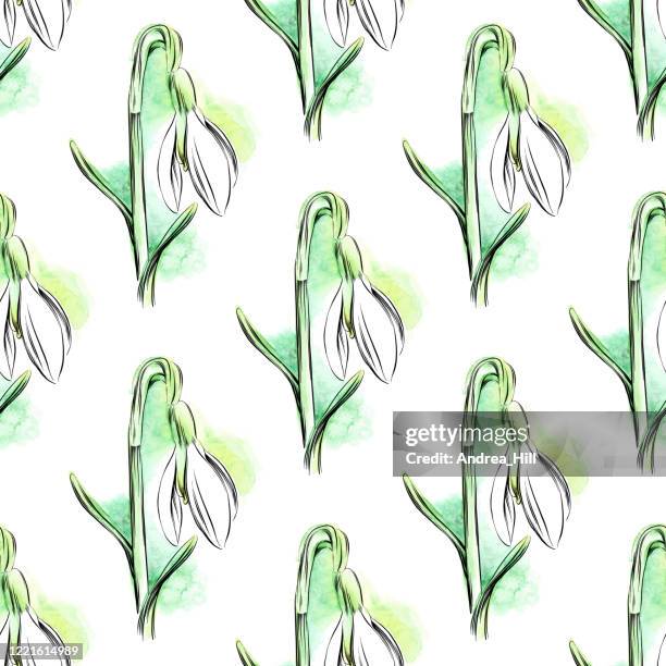 Snowdrop Repeat Pattern 66 Snowdrop Background High Res Illustrations - Getty Images
