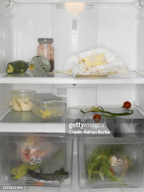 various food items going rotten inside a fridge - pourrir photos et images de collection