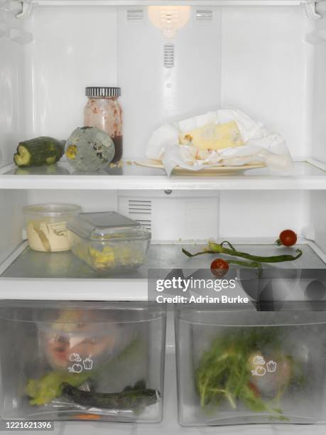 62 Rotting Food Fridge Stock Photos, High-Res Pictures, and Images ...