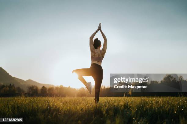 jeune femme faisant le yoga sur un domaine au coucher du soleil - salutation au soleil photos et images de collection