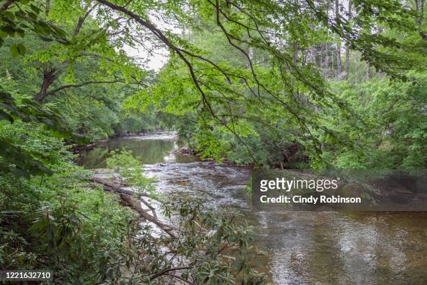 linville river - southeast stock pictures, royalty-free photos & images