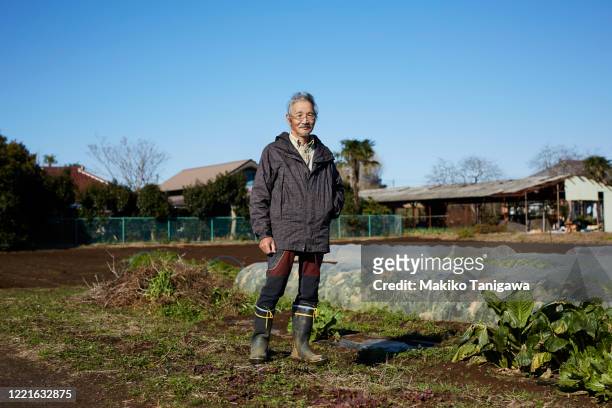 Japanese senior farmer on his farm