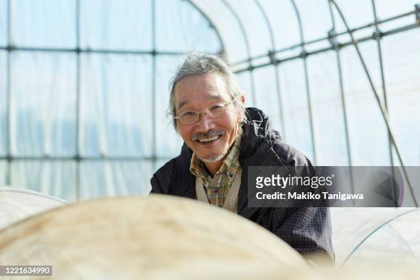 portrait of japanese senior farmer in plastic greenhouse - only japanese stock pictures, royalty-free photos & images