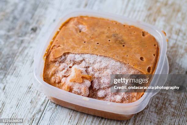 homemade food in a plastic container - comida congelada fotografías e imágenes de stock