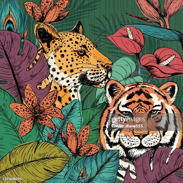 wild cats tropical forest hintergrund - großwild stock-grafiken, -clipart, -cartoons und -symbole