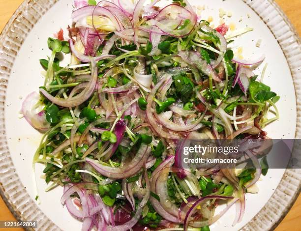 white radish sprouts and red onion salad - red onion imagens e fotografias de stock