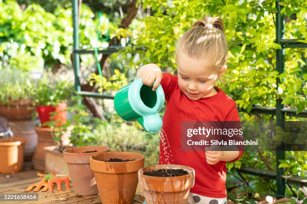 cute little girl watering - watering pot stock pictures, royalty-free photos & images