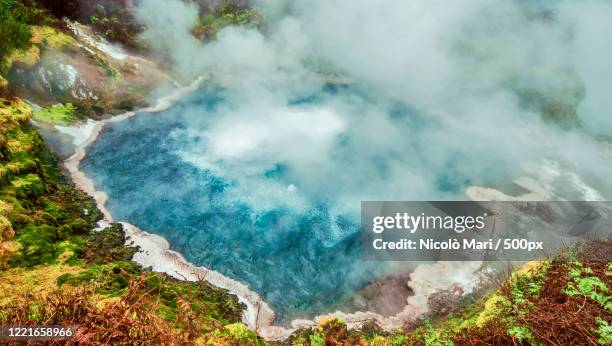 landscape with steam above hot spring, rotorua, north island, new zealand - rotorua stockfoto's en -beelden