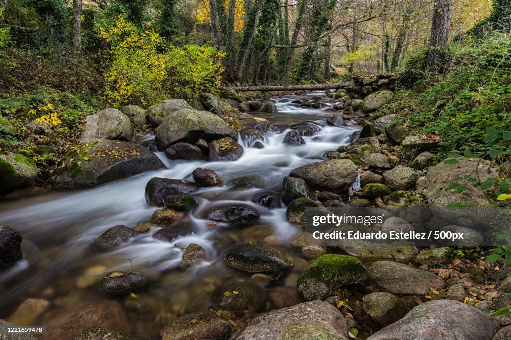 Garganta De San Gregorio River In Forest Aldeanueva De La Vera garganta-de-san-gregorio-river-in-forest-aldeanueva-de-la-vera