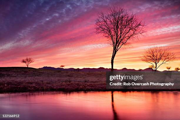 surreal sunset in desert southwest - phoenix arizona desert stock pictures, royalty-free photos & images