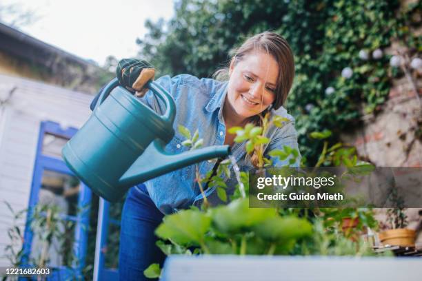 woman watering flowers in a diy plant pot. - white rose garden stock pictures, royalty-free photos & images