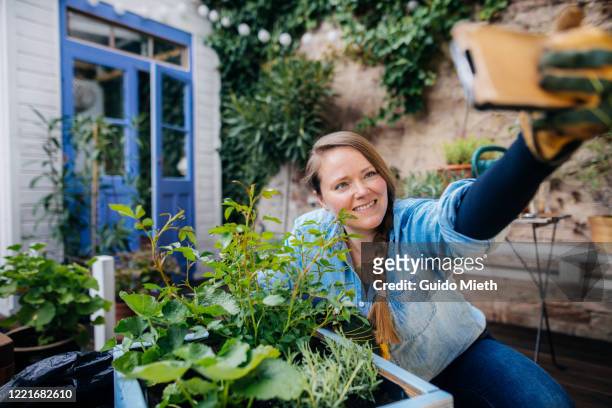 smiling woman doing selfie in front of diy plant pot. - rosa germanica foto e immagini stock
