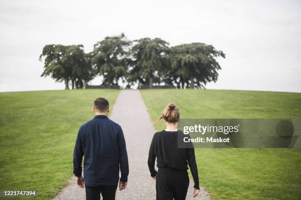rear view of friends walking amidst grassy field against trees and sky - mid distance stock pictures, royalty-free photos & images
