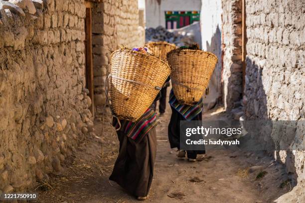 tibetan women carrying baskets of yak's dung, upper mustang, nepal - tar imagens e fotografias de stock