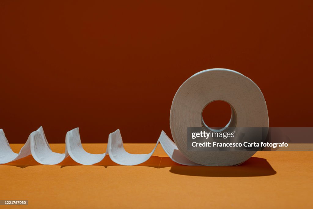Toilet paper roll