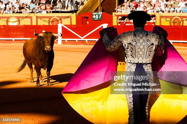 bullfighting in andalusia, spain - bullfighter stock-fotos und bilder