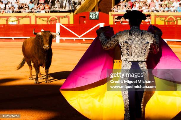 bullfighting in andalusia, spain - stierengevecht stockfoto's en -beelden