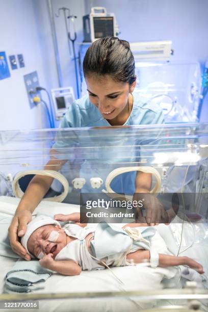sweet neonatal nurse at the nicu trying to calm a newborn baby in incubator crying - incubator imagens e fotografias de stock