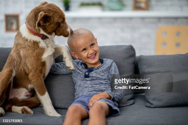 jeune patient d’oncologie à l’hôpital. - boy dog photos et images de collection