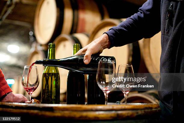 tasting red wine in a burgundy winemaker's cellar - red wine tasting stock pictures, royalty-free photos & images