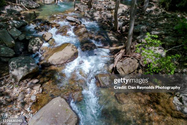 aerial view of river steam amidst forest - charlotte wood foto e immagini stock