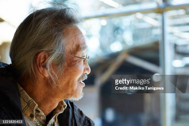 japanese senior farmer on his farm - looking to the past stock pictures, royalty-free photos & images