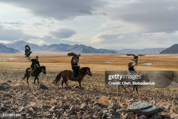 porträt einer gruppe von adlerjägern in der nähe des flusses in der mongolei - wüste gobi stock-fotos und bilder