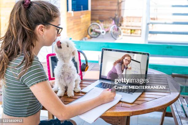 Dog Teaching Math Dog Doing Math Photos and Premium High Res Pictures - Getty Images