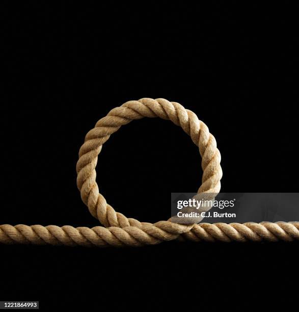 82 Coiled Lasso Stock Photos, High-Res Pictures, and Images - Getty Images