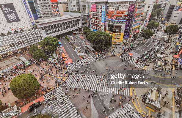 panoramic view of the crowded shinjuku crosswalk, station and commercial area, aerial view. - demographic overview stockfoto's en -beelden