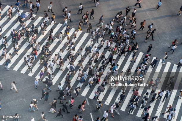 group of people crossing the street on a crosswalk - social issues ストックフォトと画像