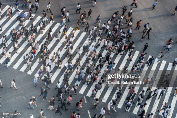 group of people crossing the street on a crosswalk - zebra crossing 個照片及圖片檔