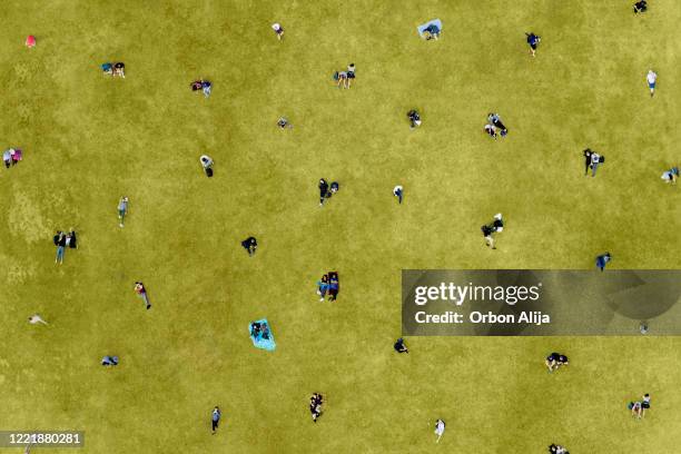 aerial view of people social distancing at the park - the tanning of america stock pictures, royalty-free photos & images