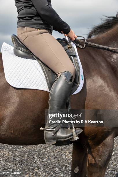 horse rider with foot in stirrup - jodhpurs stock pictures, royalty-free photos & images