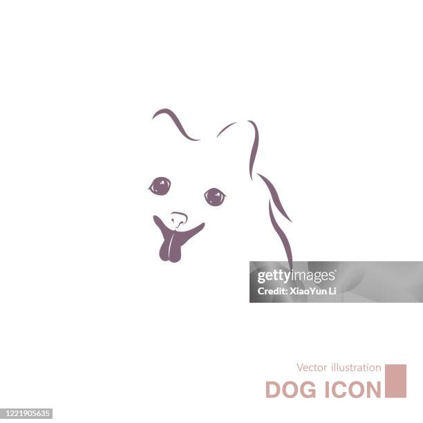 vector drawn dog. - pomeranian stock illustrations